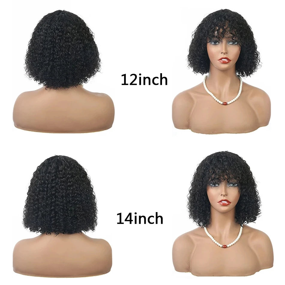 Curly Short Human Hair Wig
