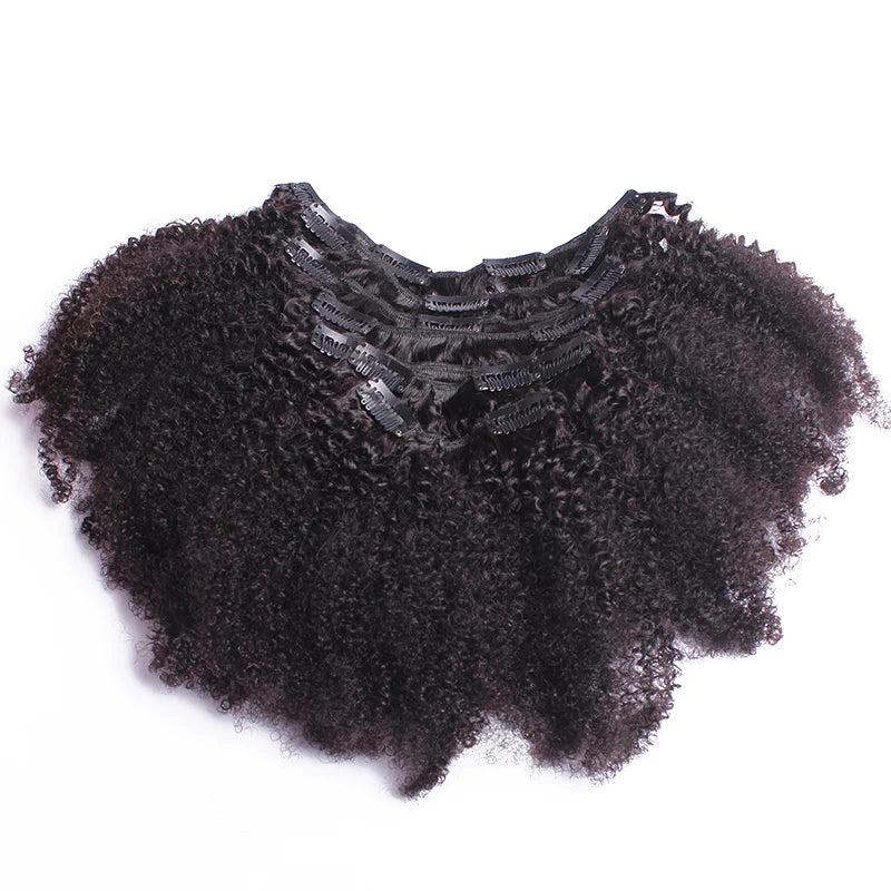 Kinky Curly Clip Ins 4B 4C Human Hair