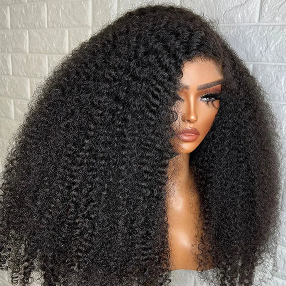 300% Density Kinky Curly Human Hair Wig Raw Indian Hair Transparent Lace Frontal Wig