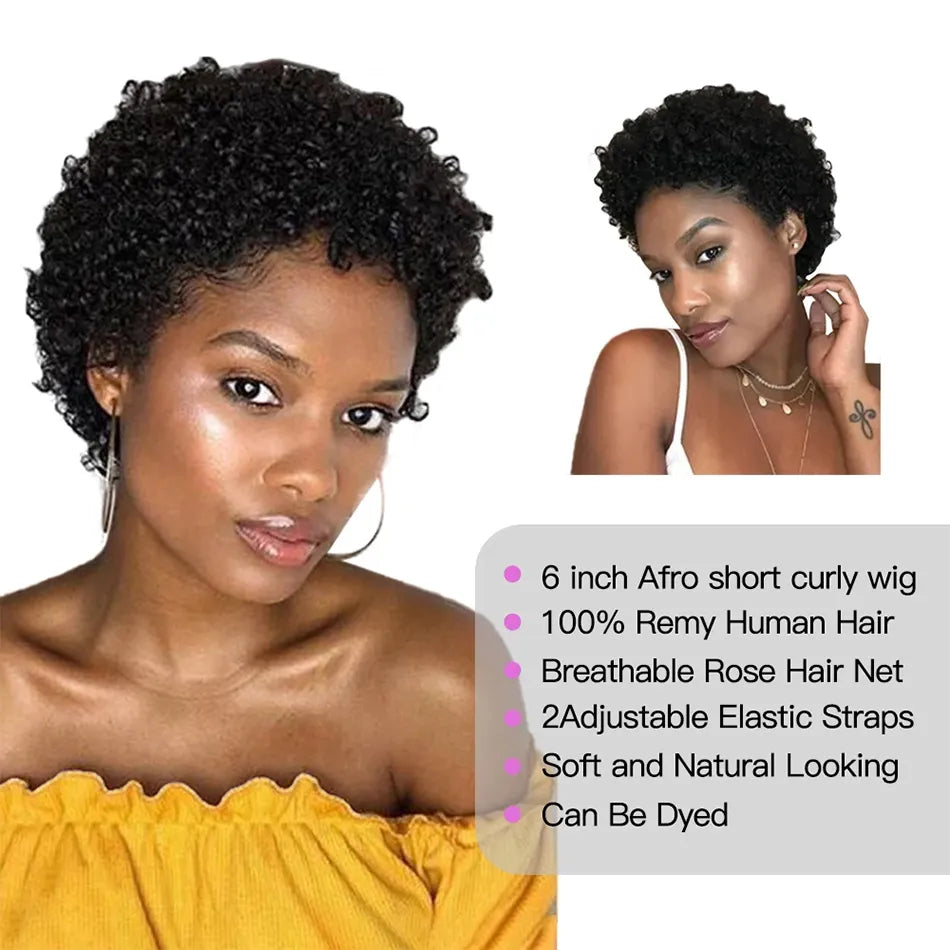 Short Afro Kinky Curly Pixie Cut Wig Human Hair