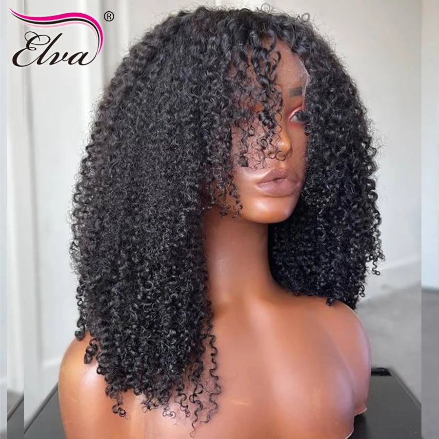 HD Lace Frontal Wig Human Hair Wigs Curly Lace Front Wigs Pre Plucked