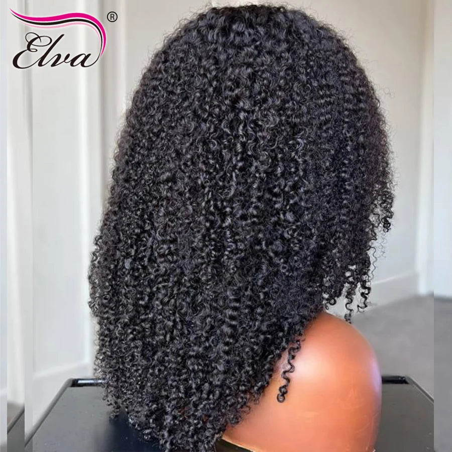 HD Lace Frontal Wig Human Hair Wigs Curly Lace Front Wigs Pre Plucked