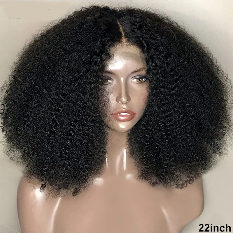 Afro Kinky Curly Wig