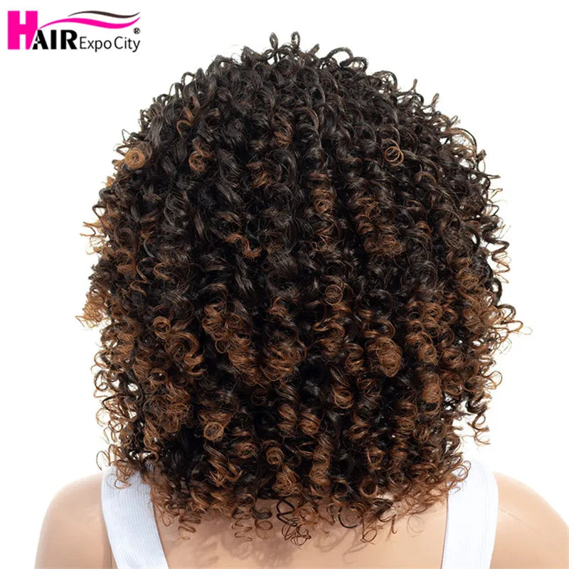 Short Wig Afro Kinky Curly Wig With Bangs